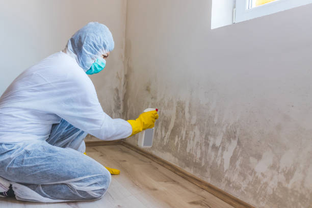 Mold inspector in Hawk Run performing thermal imaging