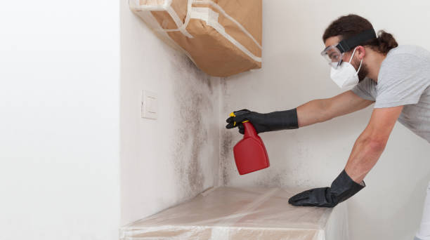 Attic Mold Remediation treatment on roof deck in Hawk Run